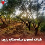 دانلود آهنگ شبا که آسمون میشه ستاره بارون